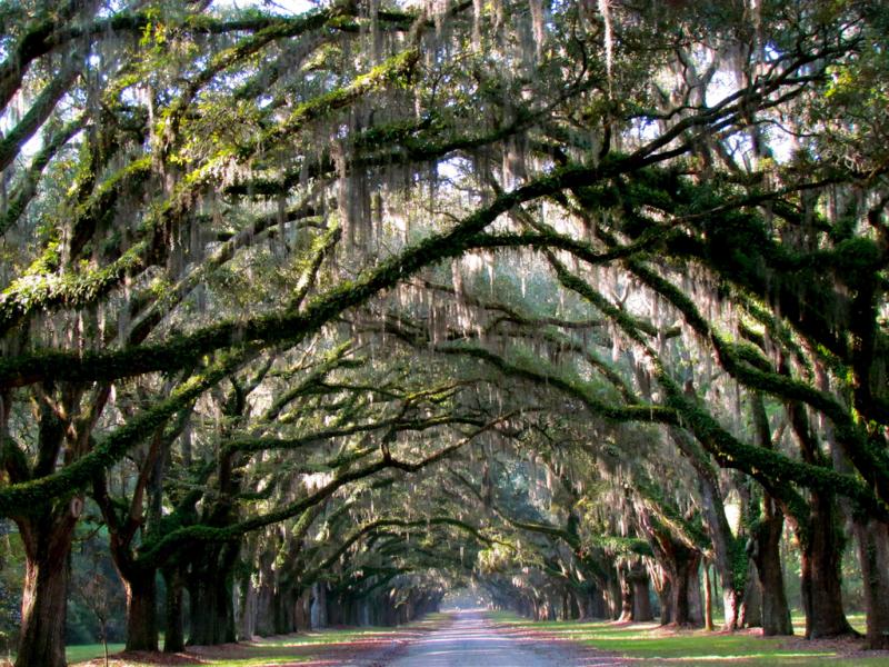 Savannah Georgia Car Rental Cities